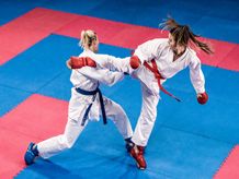Karate apsaugos