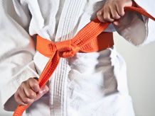 Karate diržai