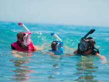 Nardymas ir snorkeling