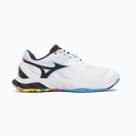 Badmintonas Mizuno
