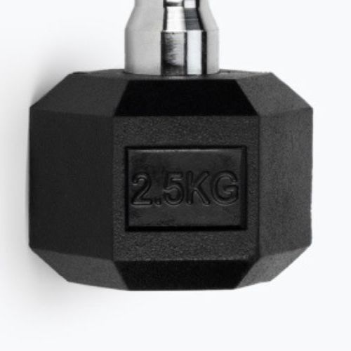TREXO Hex HXD25 gumuoti hanteliai 2,5 kg