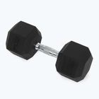 XTREXO Hex HXD200 20 kg gumuoti hanteliai