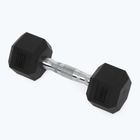 XTREXO Hex HXD50 5 kg gumuoti hanteliai