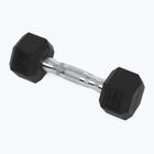 XTREXO Hex HXD25 gumuoti hanteliai 2,5 kg