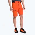 Vyriški trekingo šortai Salewa Pedroc Cargo 2 orange 00-0000026934