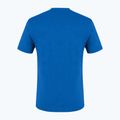 Vyriški trekingo marškinėliai Salewa Alpine Hemp Logo blue 00-0000028132 5