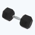 XTREXO Hex HXD200 20 kg gumuoti hanteliai