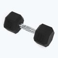 XTREXO Hex HXD100 gumuoti hanteliai 10 kg