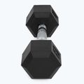 XTREXO Hex HXD50 5 kg gumuoti hanteliai 6