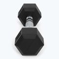 XTREXO Hex HXD25 gumuoti hanteliai 2,5 kg 6