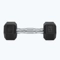 XTREXO Hex HXD25 gumuoti hanteliai 2,5 kg 7