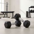 XTREXO Hex HXD25 gumuoti hanteliai 2,5 kg 3