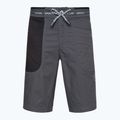 Vyriški La Sportiva Ecstatic pilki šortai laipiojimui N64900999