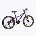 Kellys Lumi 30 20" vaikiškas dviratis violetinės spalvos 72390 3