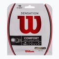 Wilson Sensation 16 teniso stygos 12,2 m baltos spalvos WRZ941000+