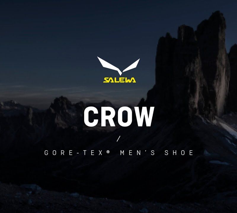 Salewa vyriški aukštakulniai batai Crow GTX rudi 00-0000061328 12