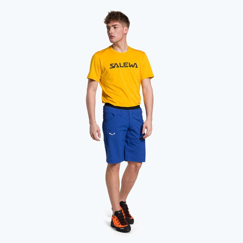 Vyriški žygio šortai Salewa Agner Light blue 00-0000027380 2