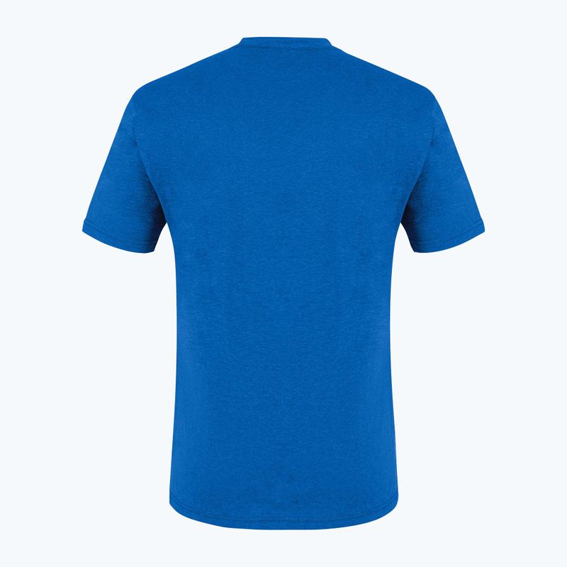 Vyriški trekingo marškinėliai Salewa Alpine Hemp Logo blue 00-0000028132 5