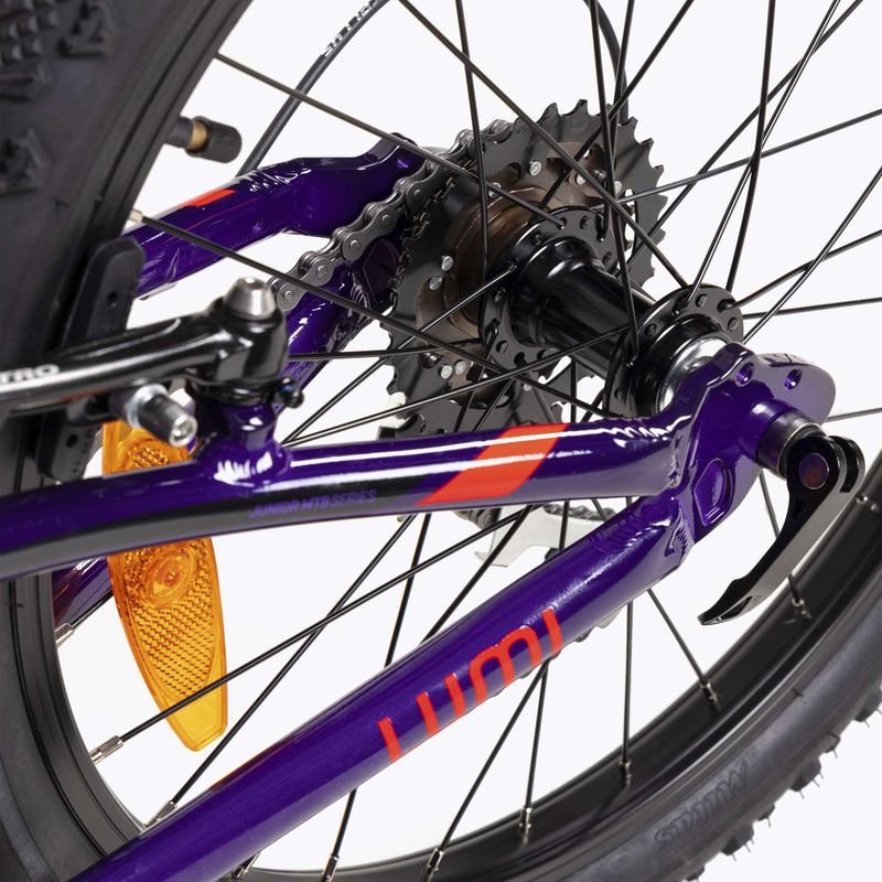 Kellys Lumi 30 20" vaikiškas dviratis violetinės spalvos 72390 13