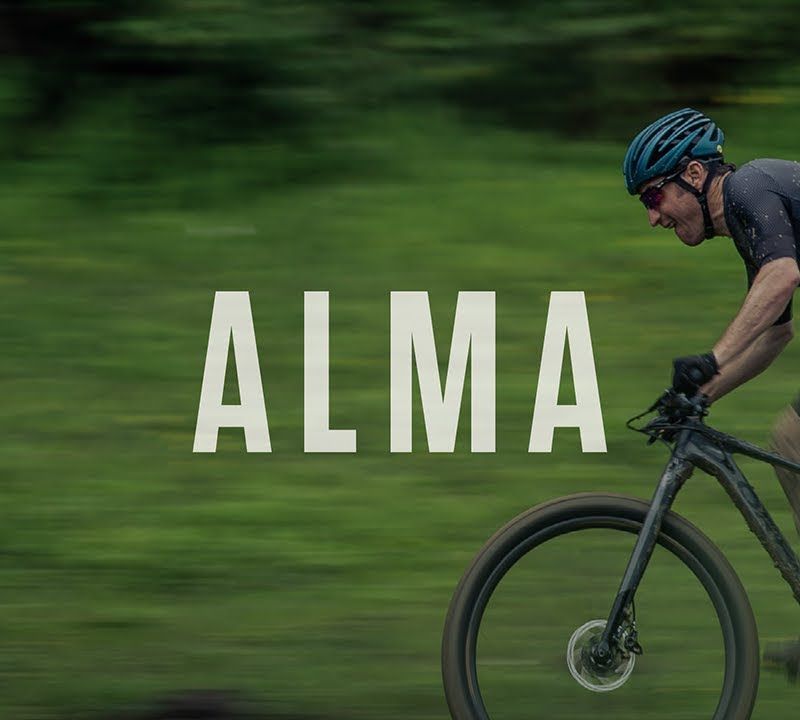 Orbea Alma H50 kalnų dviratis juodas L22018L3 17