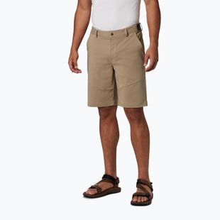 Columbia Tech Trail 221 vyriški trekingo šortai beige 1883371