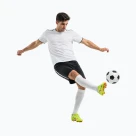 Komandinės sporto šakos